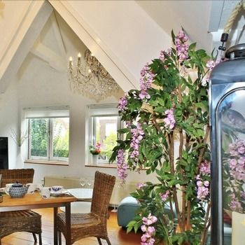 Luxury V History Written Apartment